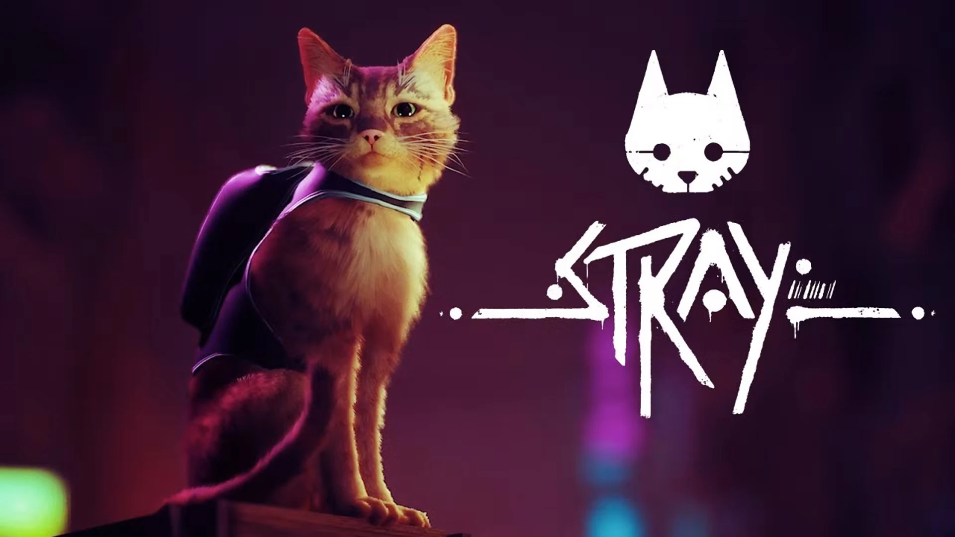 Stray